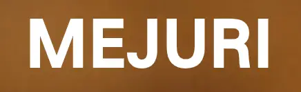 Mejuri Logo